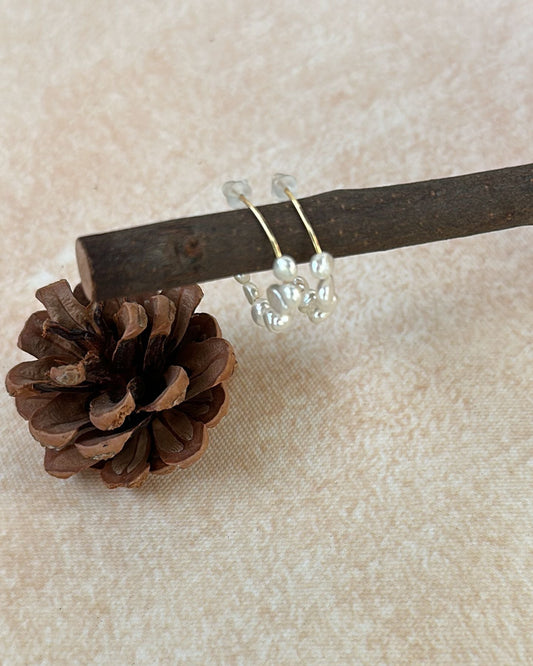 Pine cone and clear earring on a beige fabric background